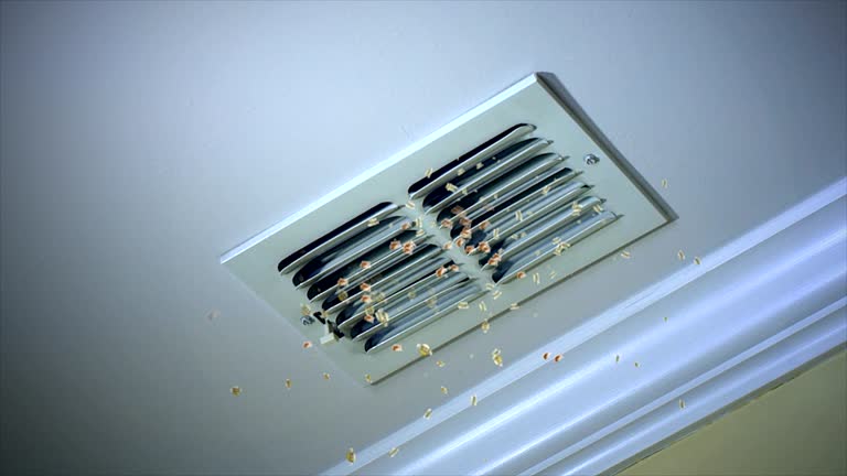 Best Air Duct Cleaning Near Me  in Griggsvle, IL